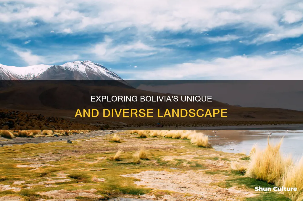 what is the land like in bolivia