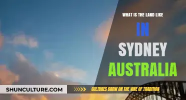 Exploring Sydney's Diverse Landscapes: Beaches, Hills, and Urban Spaces