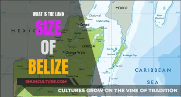 Belize's Land Mass: A Comprehensive Overview