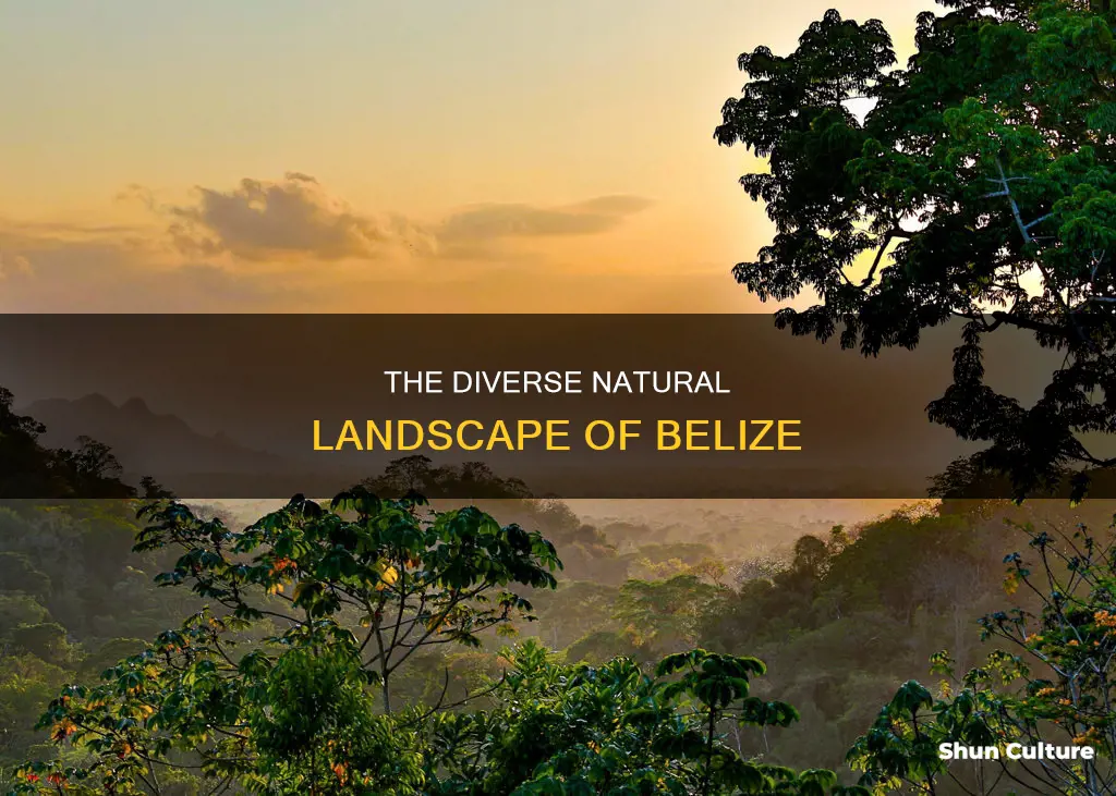 what is the landscape in belize