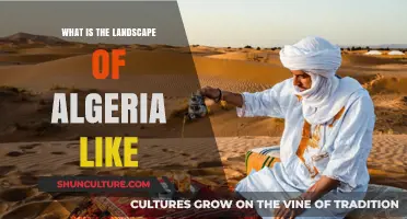 Exploring Algeria's Diverse Landscapes: Mountains, Deserts, and Coastlines