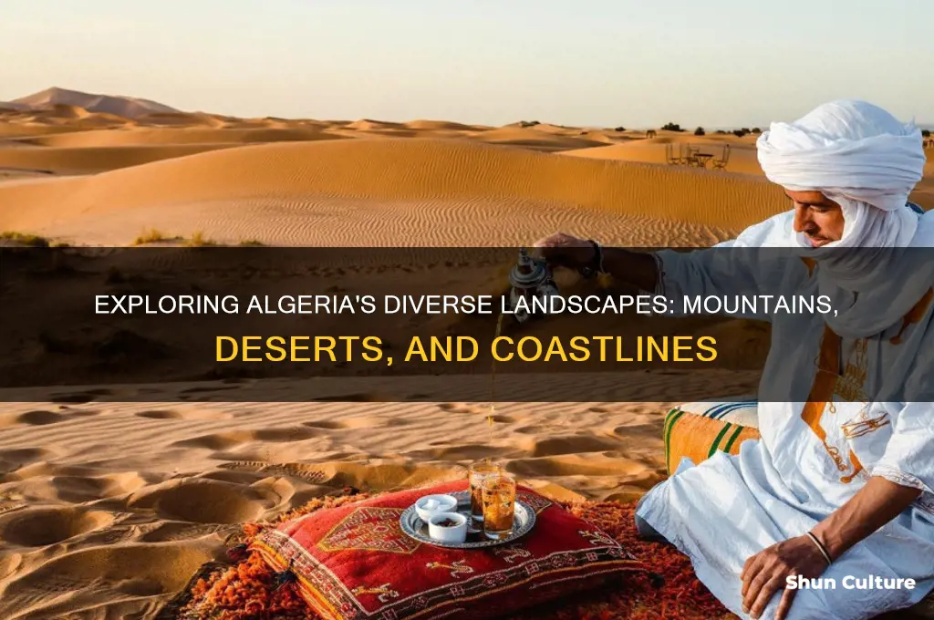 what is the landscape of algeria like