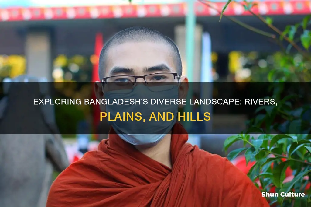 what is the landscape of bangladesh like