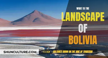 Bolivia's Unique Geography: A Landscape Overview