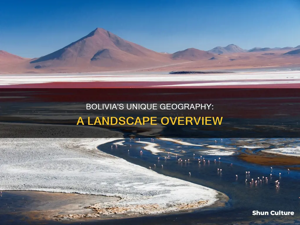 what is the landscape of bolivia