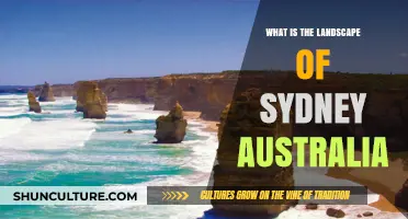 Exploring Sydney's Diverse Landscape: Beaches, Mountains, and Urban Beauty