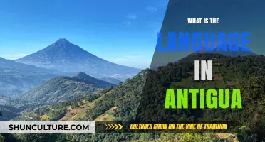 Exploring Antigua's Official Language and Cultural Communication Insights