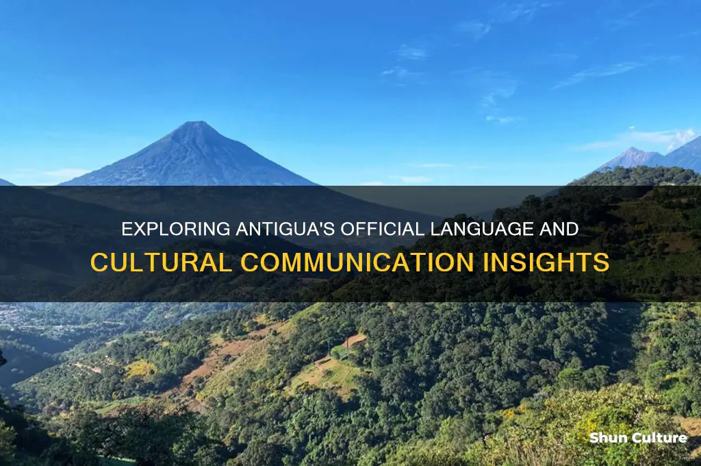 what is the language in antigua