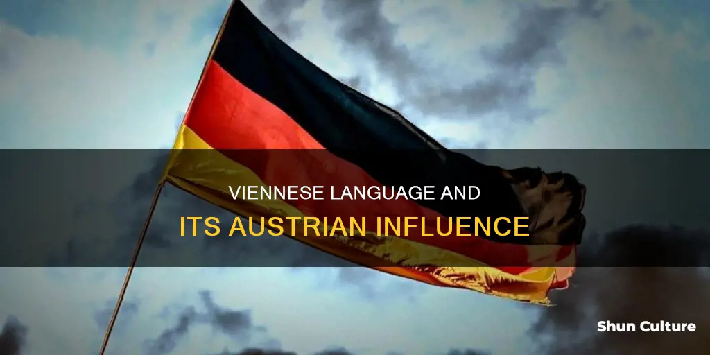 what is the language in vienna austria