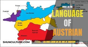 Unraveling the Linguistic Tapestry: Exploring Austrian German