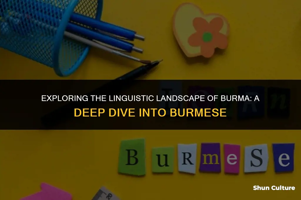 what is the language of burma