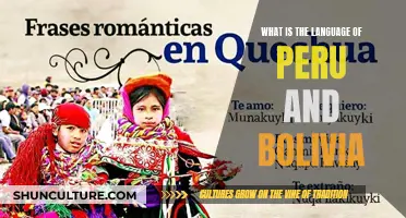 Exploring the Languages of Peru and Bolivia