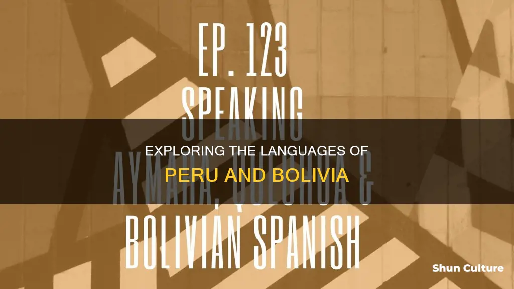 what is the language of peru and bolivia