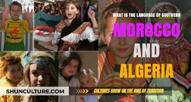 Exploring Tamazight: The Indigenous Language of Southern Morocco and Algeria