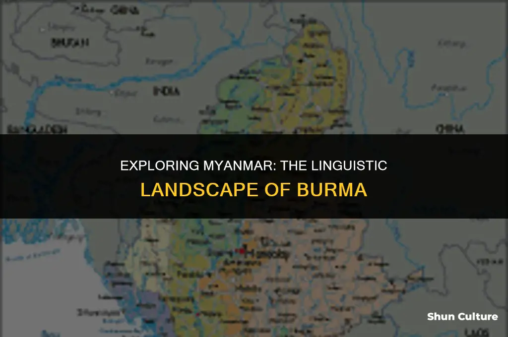 what is the language of the country of burma