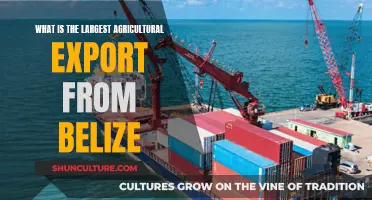 Belize's Agricultural Giant: Uncovering the Country's Top Export Crop