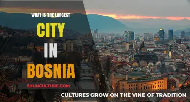Discovering Bosnia's Urban Giant: The Largest City Revealed