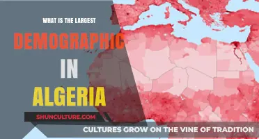 Algeria's Largest Demographic: Unveiling the Country's Dominant Population Group