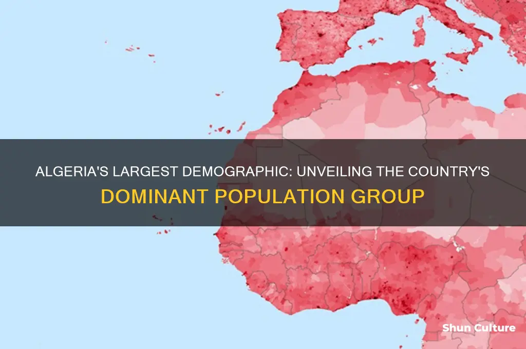 what is the largest demographic in algeria