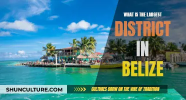 The Colossal Corozal: Unveiling Belize's Largest District