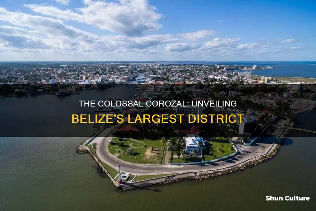 what is the largest district in belize