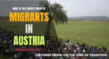 Austria's Migrant Population: The Largest Groups and Their Stories