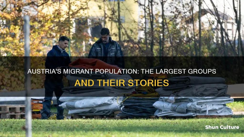 what is the largest group of migrants in austria