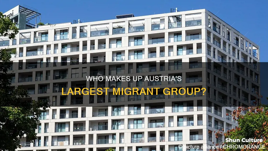 what is the largest group of migrants in austria