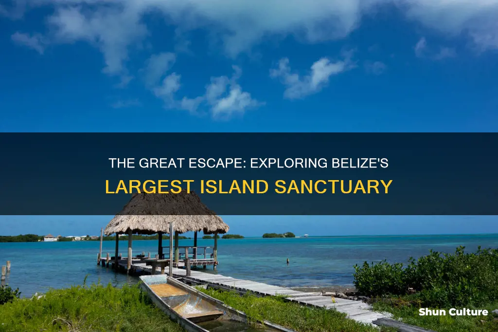 what is the largest island of the belizean archipelago