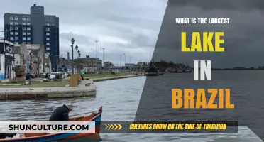 Exploring Brazil's Largest Lake: A Guide to Lagoa dos Patos
