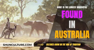 The Giant Marsupials of Australia: Who's the Biggest?