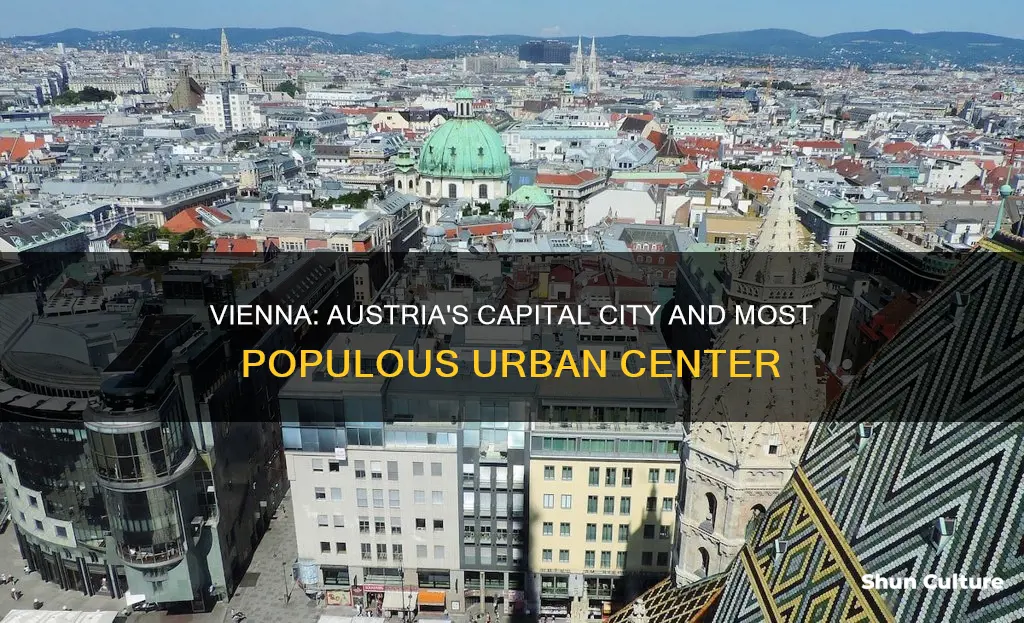 what is the largest populated city in austria