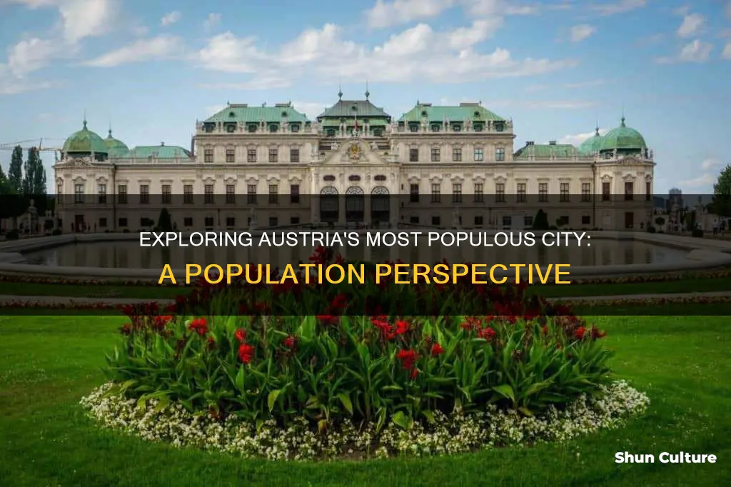 what is the largest populated city in austria