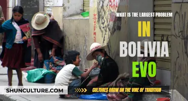 Bolivia's Biggest Challenge: The Post-Evo Political Landscape