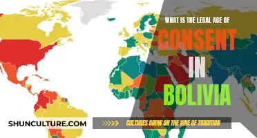 Exploring Bolivia's Age of Consent Laws