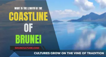 The Ever-Changing Coastline of Brunei: How Long?