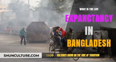 Exploring Bangladesh's Average Life Expectancy: Trends and Insights