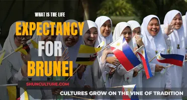 Life Expectancy in Brunei: How Long Do They Live?