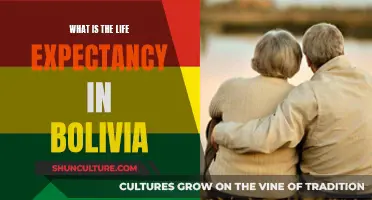 Life Expectancy in Bolivia: A Comprehensive Overview