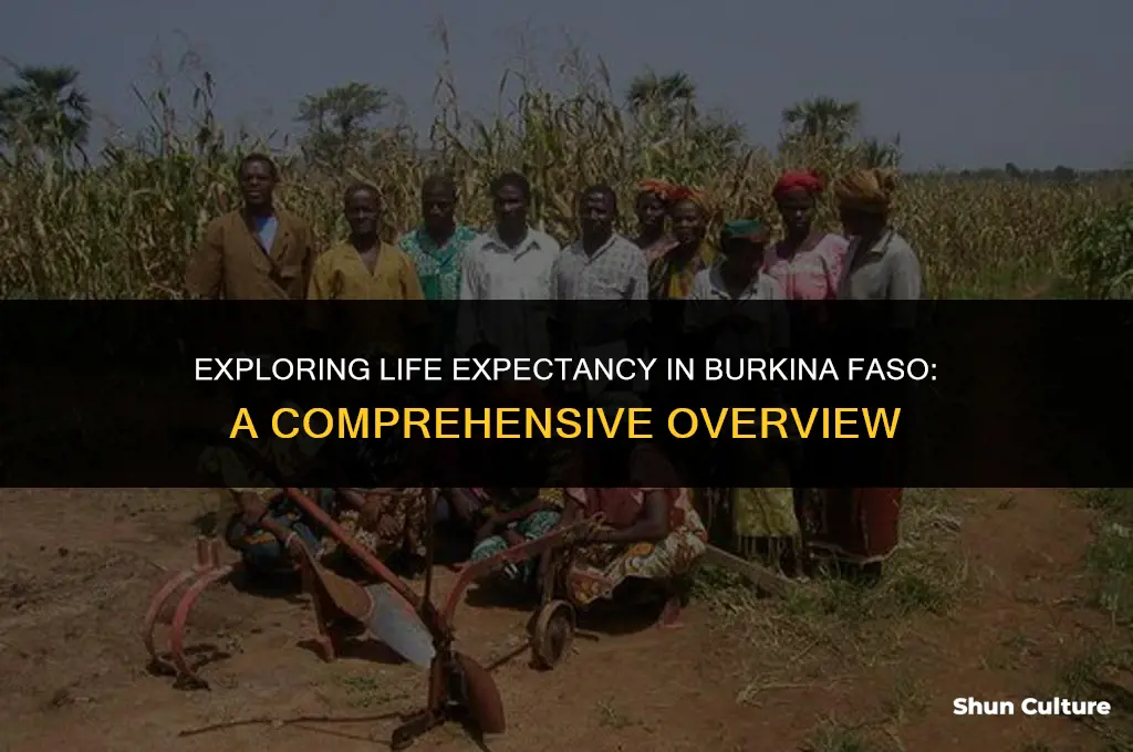 what is the life expectancy in burkina faso