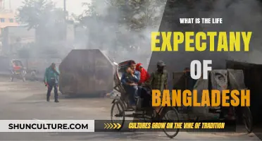Exploring Bangladesh's Life Expectancy: Trends, Factors, and Future Projections