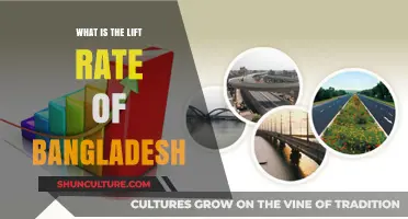 Exploring Bangladesh's Economic Growth: Understanding the Current Lift Rate