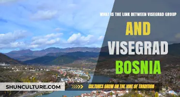 Visegrad Group and Bosnia: Historical Connections and Modern Implications