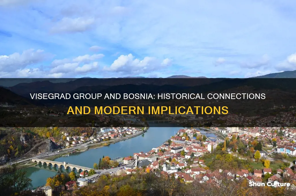 what is the link between visegrad group and visegrad bosnia