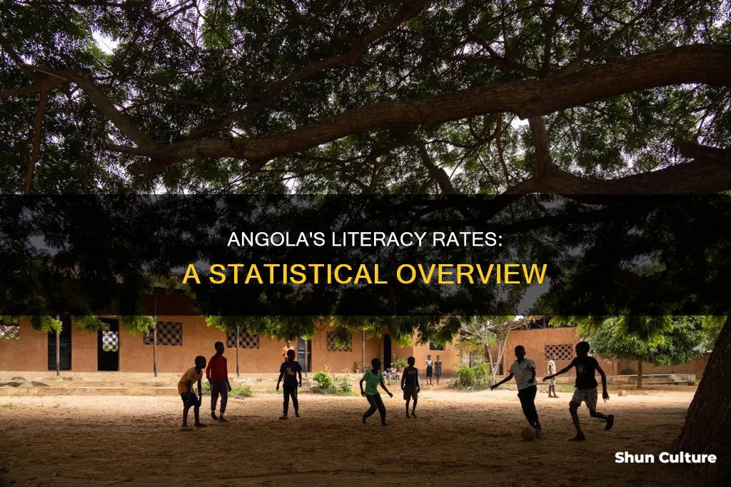 what is the literacry rate jn angola