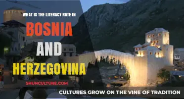 Exploring Bosnia and Herzegovina's Literacy Rate: Current Statistics and Trends