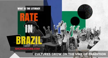 Brazil's Literacy Rate: Current Statistics, Trends, and Educational Insights