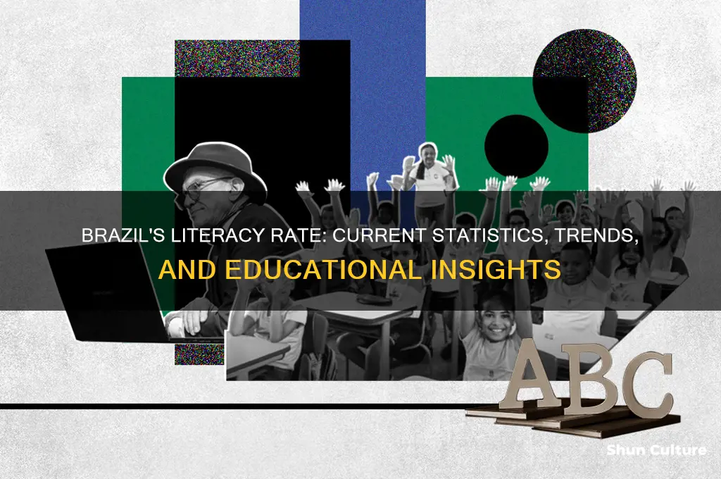 what is the literacy rate in brazil