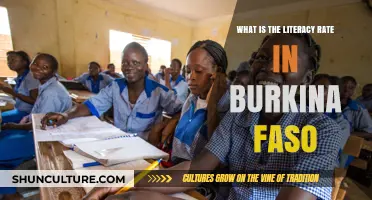 Exploring Literacy in Burkina Faso: Challenges and Progress