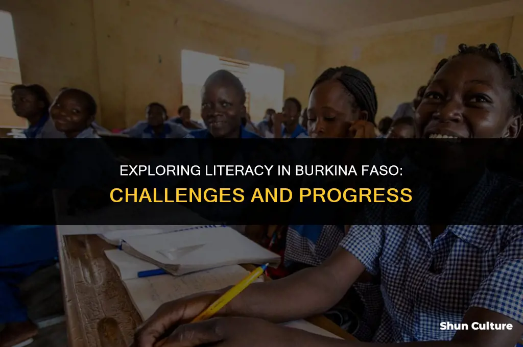 what is the literacy rate in burkina faso
